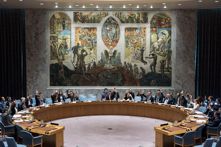 Consejo de Seguridad