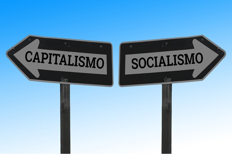 capitalismo y socialismo