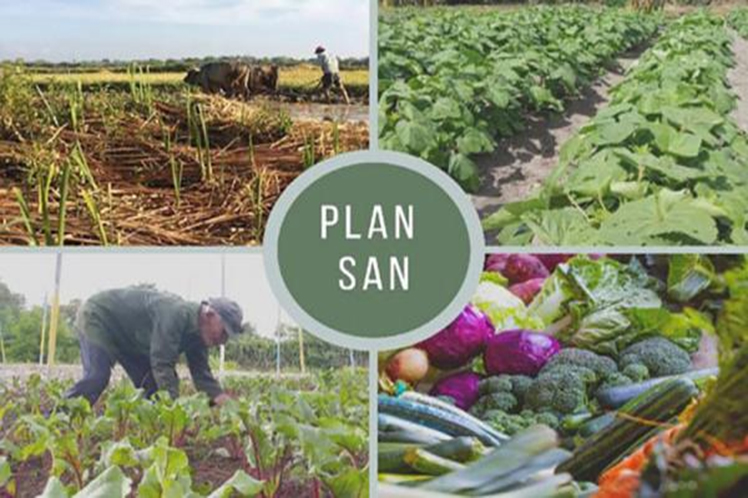 Plan de Soberanía Alimentaria y Educación Nutricional (Plan SAN)